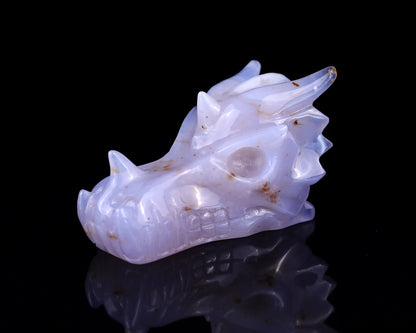 4.8" Blue Chalcedony Hand Carved Crystal Dragon Skull Sculpture Crystallumi