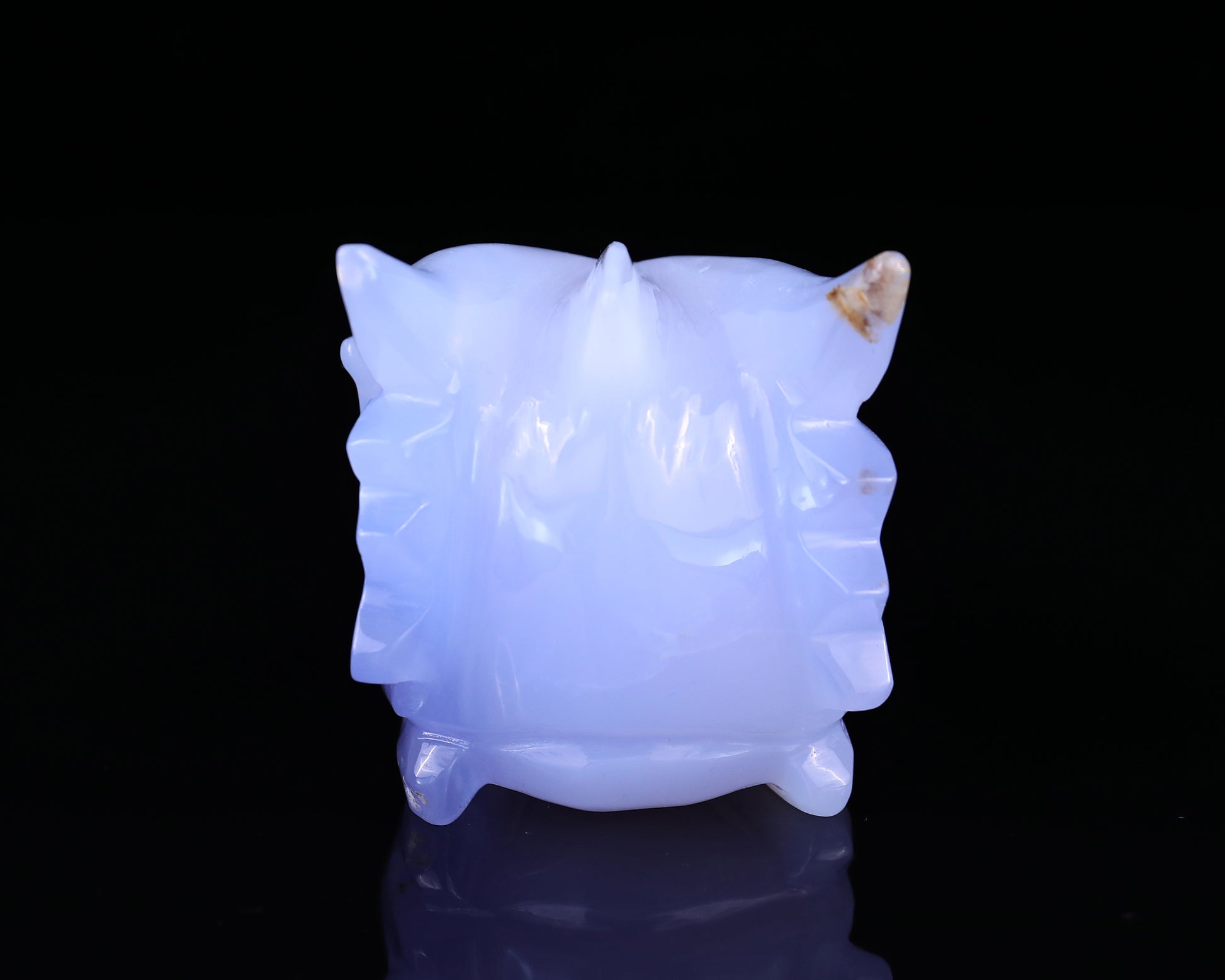 4.8" Blue Chalcedony Hand Carved Crystal Dragon Skull Sculpture Crystallumi