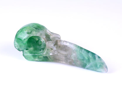 4.8" Fluorite Hand Carved Crystal Raven Skull Sculpture Crystallumi