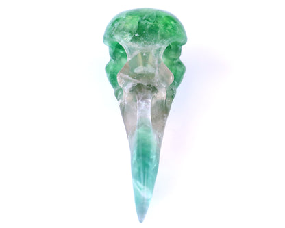 4.8" Fluorite Hand Carved Crystal Raven Skull Sculpture Crystallumi