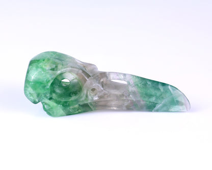 4.8" Fluorite Hand Carved Crystal Raven Skull Sculpture Crystallumi