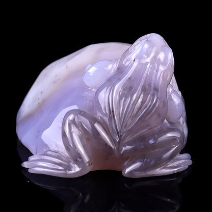 4.8" Geode Agate Hand Carved Crystal Frog Sculpture Crystallumi