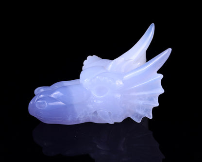 4.9" Blue Chalcedony Hand Carved Crystal Dragon Skull Sculpture Crystallumi