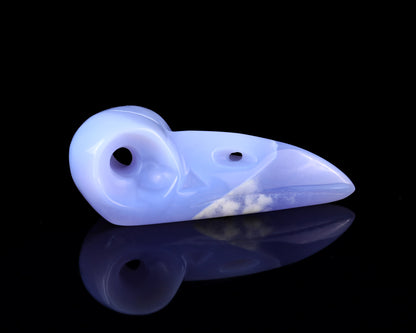 4.9" Blue Chalcedony Hand Carved Crystal Raven Skull Sculpture Crystallumi