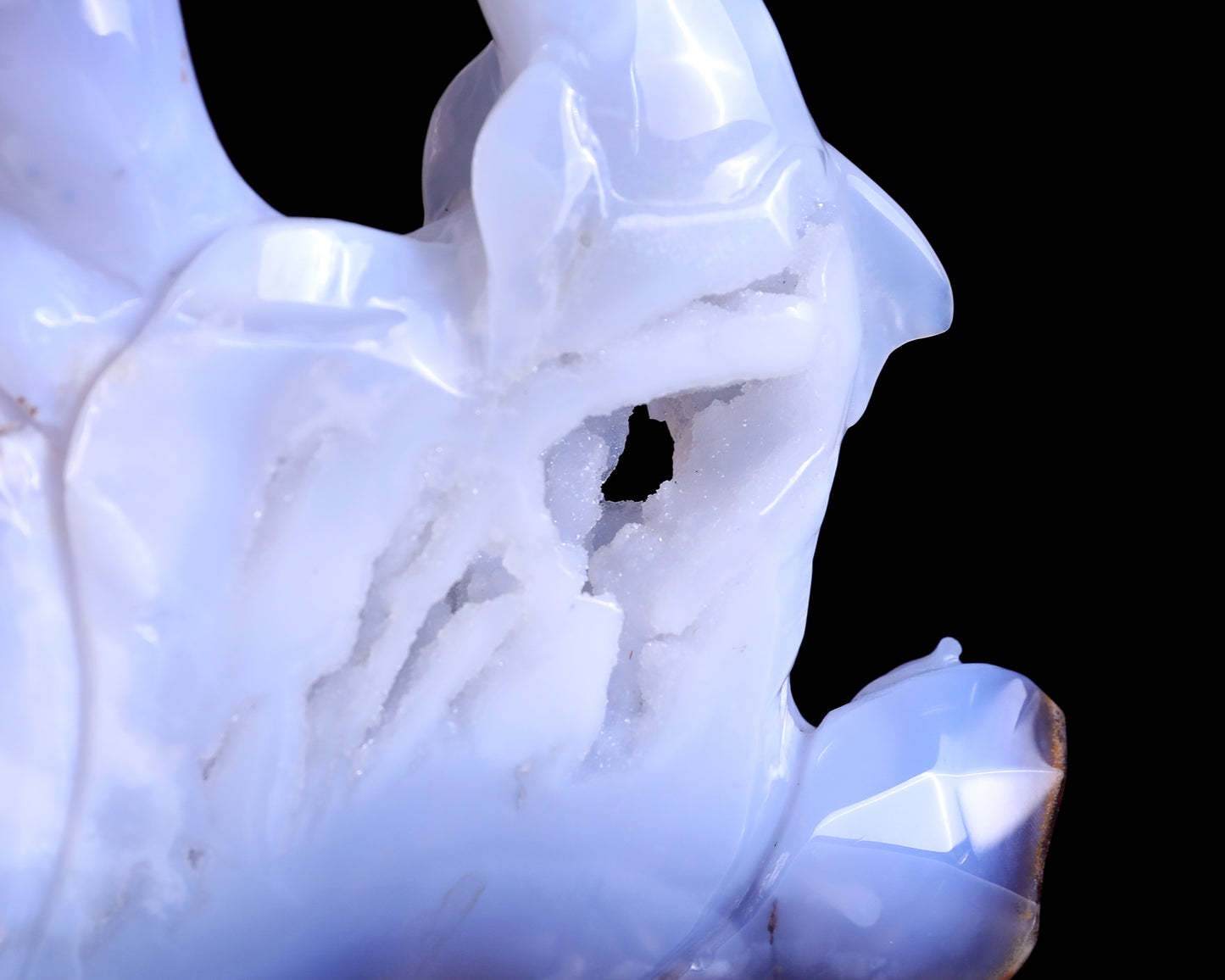 11.8" Blue Chalcedony Hand Carved Crystal Dolphins Sculpture