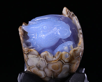 3.4" Blue Chalcedony Hand Carved Crystal Baby Dinosaur Egg Sculpture