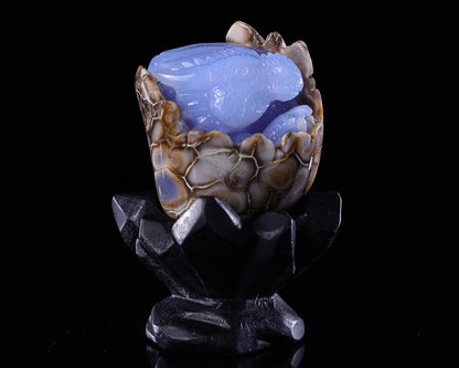 3.4" Blue Chalcedony Hand Carved Crystal Baby Dinosaur Egg Sculpture