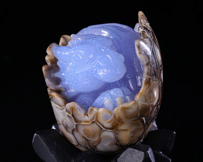 3.4" Blue Chalcedony Hand Carved Crystal Baby Dinosaur Egg Sculpture