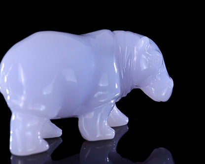 3.9" Blue Chalcedony Hand Carved Crystal Hippo Sculpture