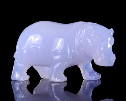 3.9" Blue Chalcedony Hand Carved Crystal Hippo Sculpture