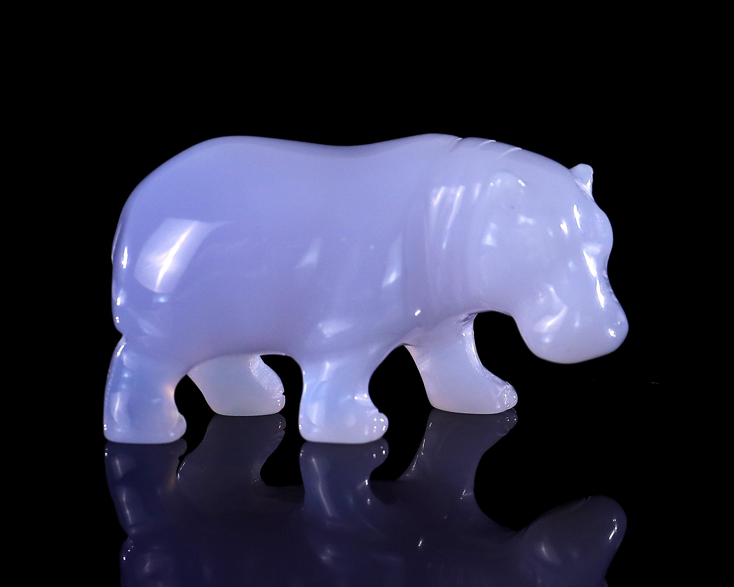 2.2" Blue Chalcedony Hand Carved Crystal Hippo Sculpture