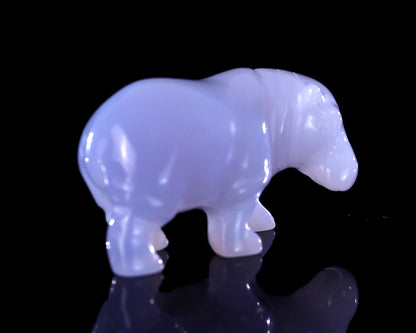 2.2" Blue Chalcedony Hand Carved Crystal Hippo Sculpture