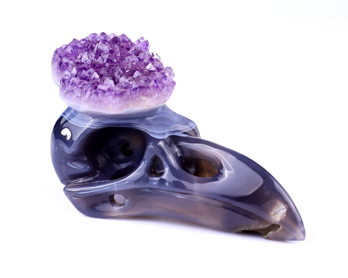 5.0" Amethyst Druse Agate Hand Carved Crystal Raven Skull Sculpture Crystallumi