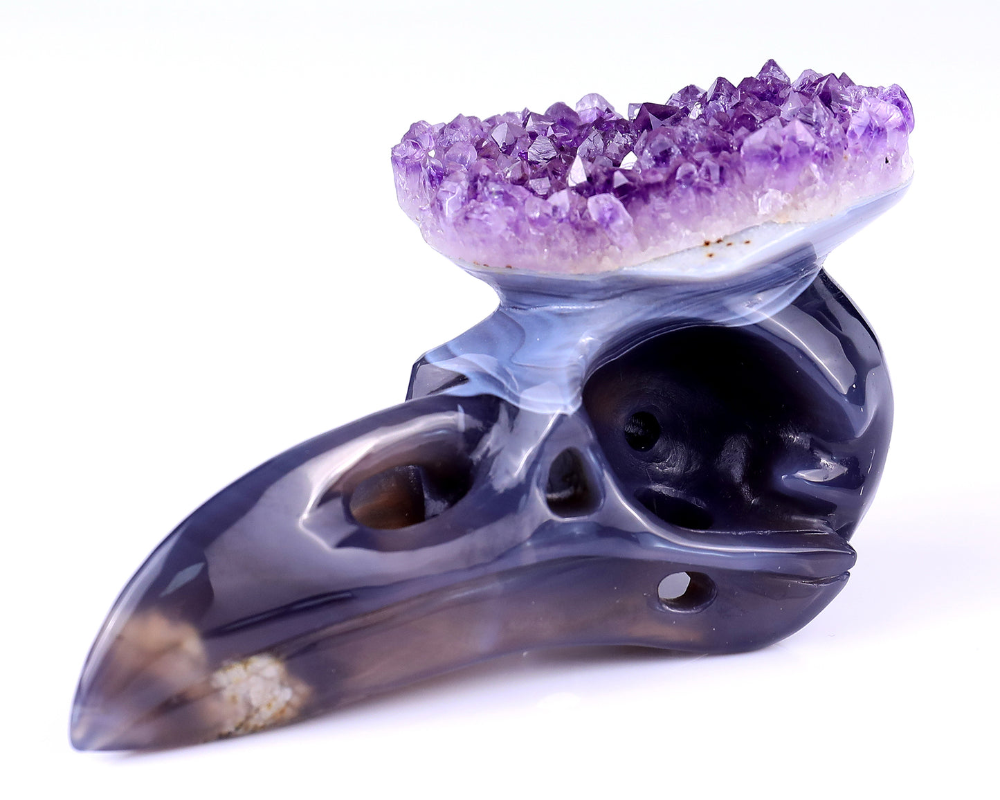 5.0" Amethyst Druse Agate Hand Carved Crystal Raven Skull Sculpture Crystallumi