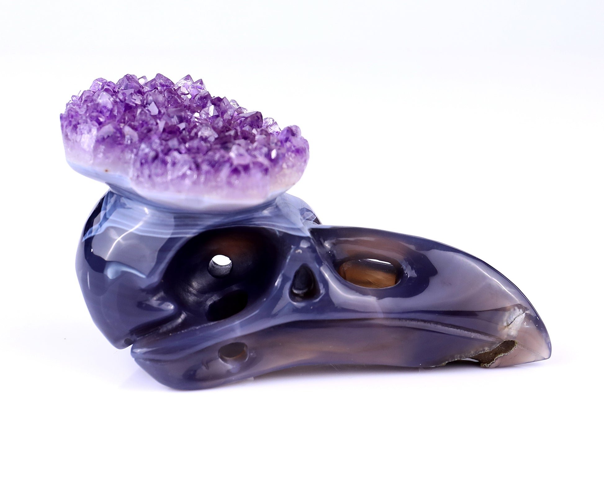 5.0" Amethyst Druse Agate Hand Carved Crystal Raven Skull Sculpture Crystallumi