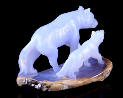 5.0" Blue Chalcedony Hand Carved Crystal Wolves Sculpture Crystallumi