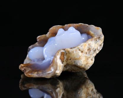 5.2" Blue Chalcedony Hand Carved Crystal Geode Frog Sculpture Crystallumi