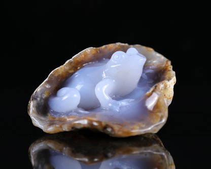 5.2" Blue Chalcedony Hand Carved Crystal Geode Frog Sculpture Crystallumi