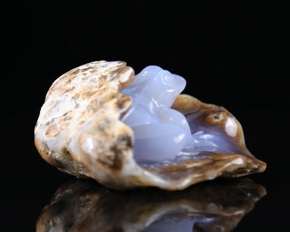 5.2" Blue Chalcedony Hand Carved Crystal Geode Frog Sculpture Crystallumi