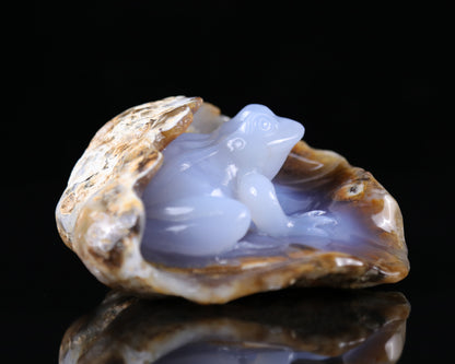 5.2" Blue Chalcedony Hand Carved Crystal Geode Frog Sculpture Crystallumi