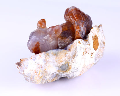 5.2" Chalcedony Hand Carved Crystal Squirrel Sculpture Crystallumi