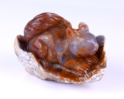 5.2" Chalcedony Hand Carved Crystal Squirrel Sculpture Crystallumi