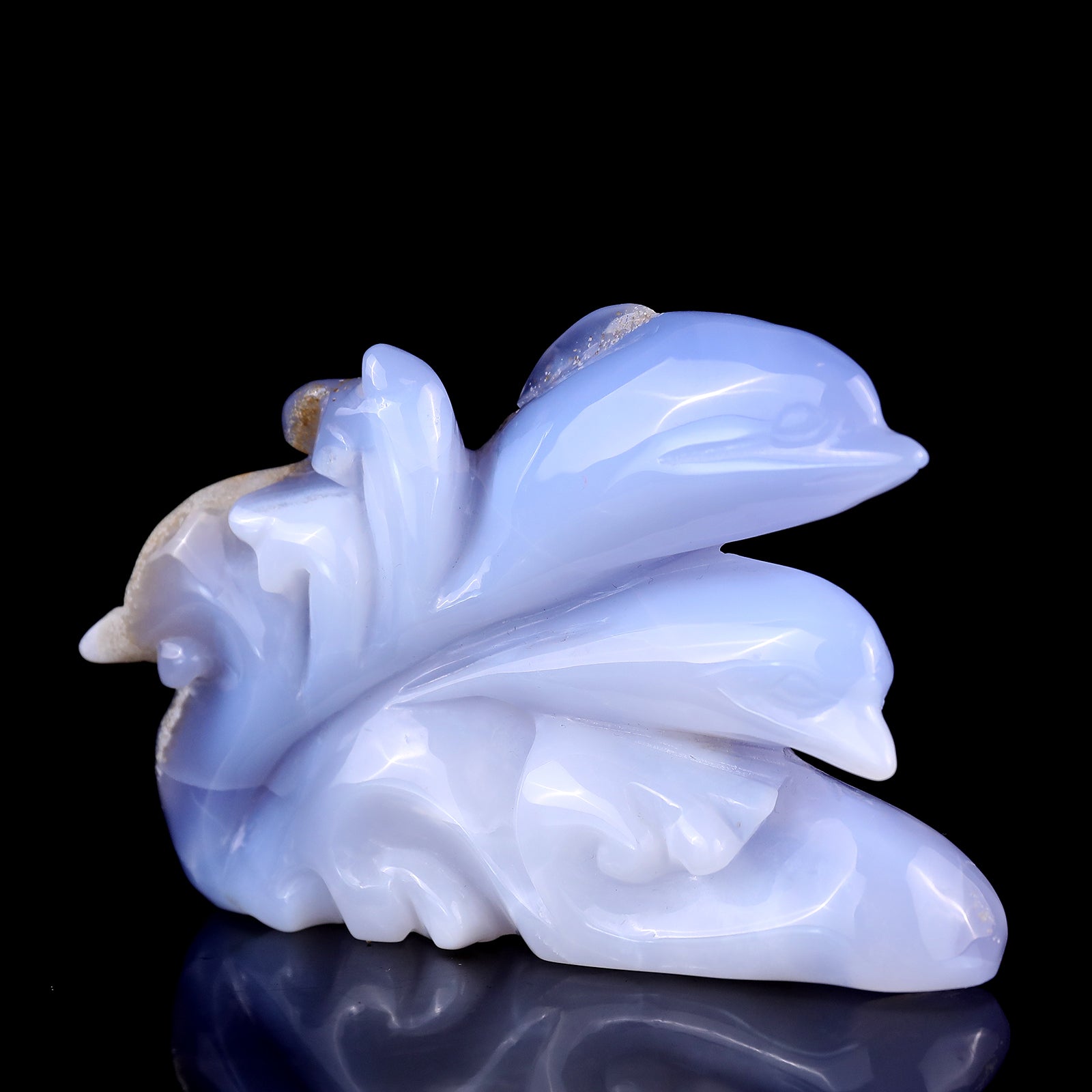 5.3" Blue Chalcedony Hand Carved Crystal Dolphins Sculpture Crystallumi