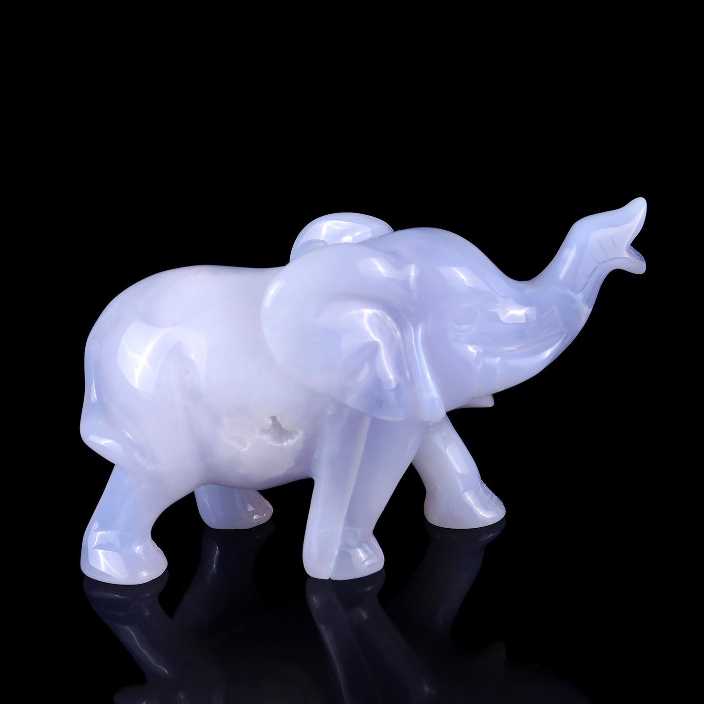 5.3" Blue Chalcedony Hand Carved Crystal Elephant Sculpture Crystallumi