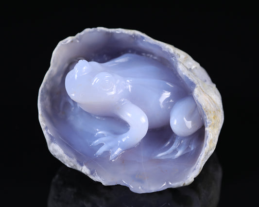 5.3" Blue Chalcedony Hand Carved Crystal Frog Sculpture Crystallumi