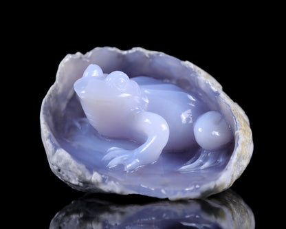 5.3" Blue Chalcedony Hand Carved Crystal Frog Sculpture Crystallumi