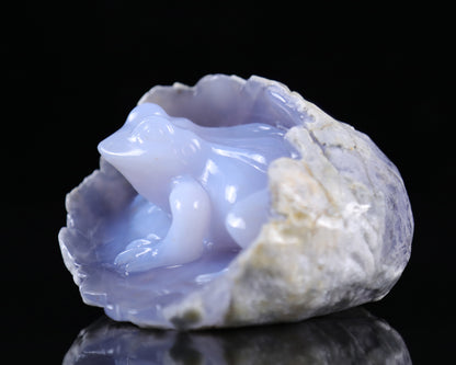 5.3" Blue Chalcedony Hand Carved Crystal Frog Sculpture Crystallumi