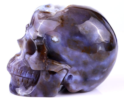 5.4" Blue Chalcedony Hand Carved Crystal Realistic Skull Sculpture Crystallumi