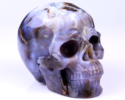 5.4" Blue Chalcedony Hand Carved Crystal Realistic Skull Sculpture Crystallumi