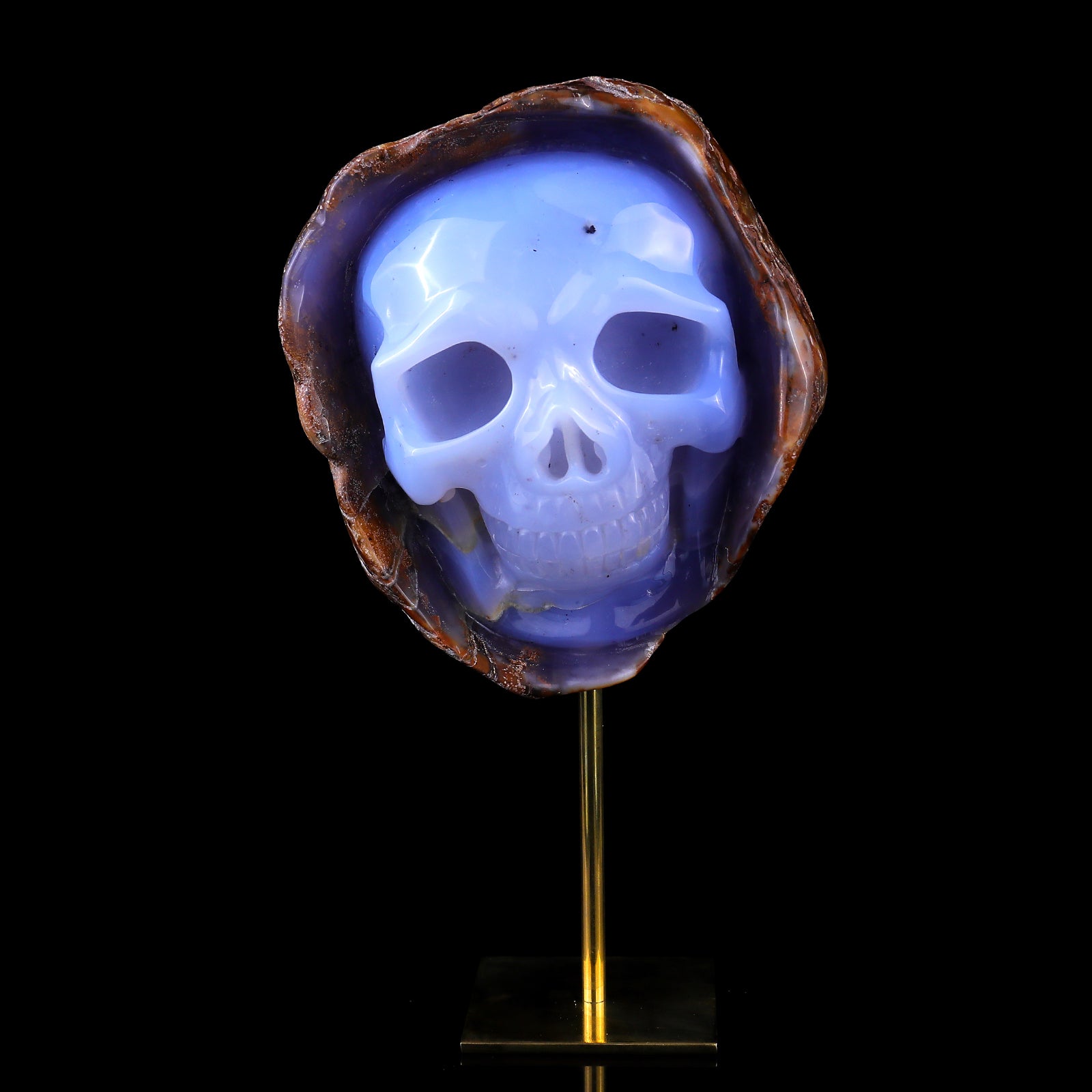 5.4" Blue Chalcedony Hand Carved Mineral Specimen Skull Sculpture Crystallumi