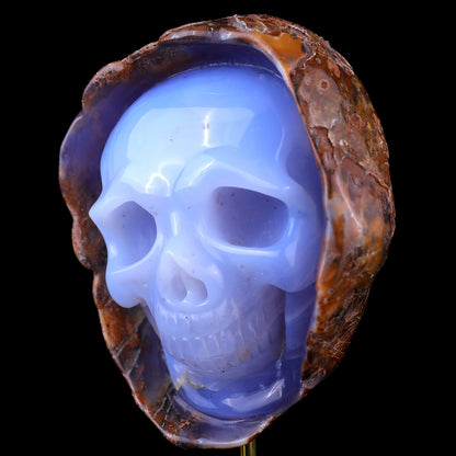 5.4" Blue Chalcedony Hand Carved Mineral Specimen Skull Sculpture Crystallumi