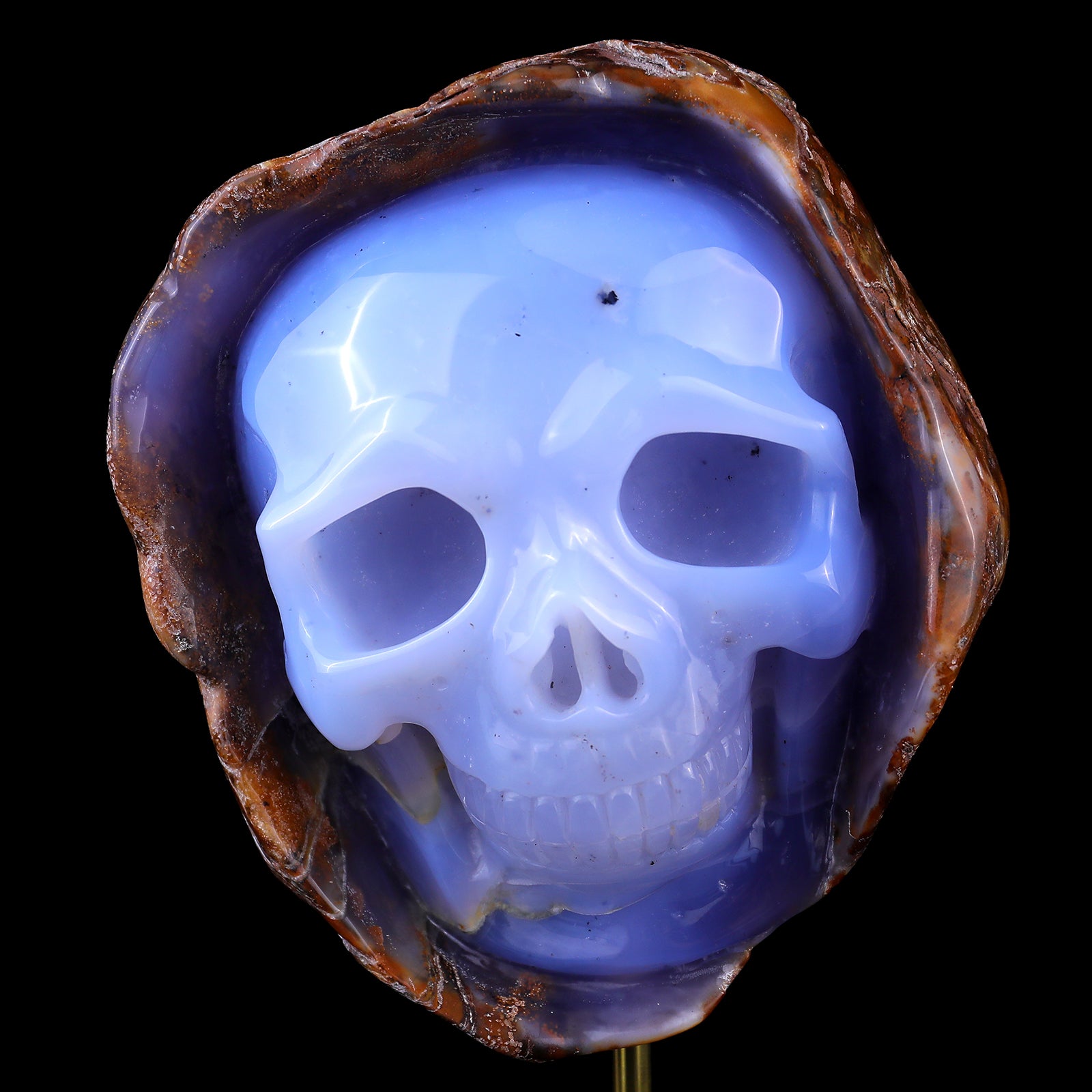 5.4" Blue Chalcedony Hand Carved Mineral Specimen Skull Sculpture Crystallumi