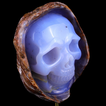 5.4" Blue Chalcedony Hand Carved Mineral Specimen Skull Sculpture Crystallumi