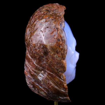 5.4" Blue Chalcedony Hand Carved Mineral Specimen Skull Sculpture Crystallumi