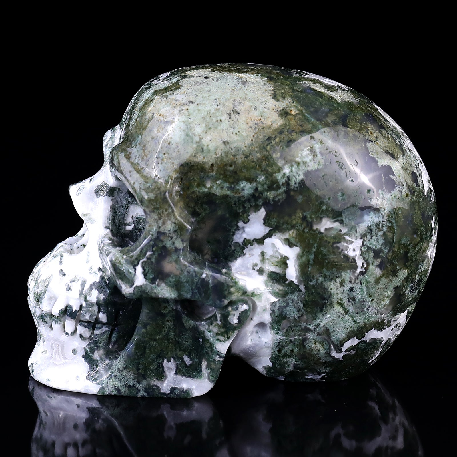 5.4" Moss Agate Hand Carved Crystal Realistic Skull Sculpture Crystallumi