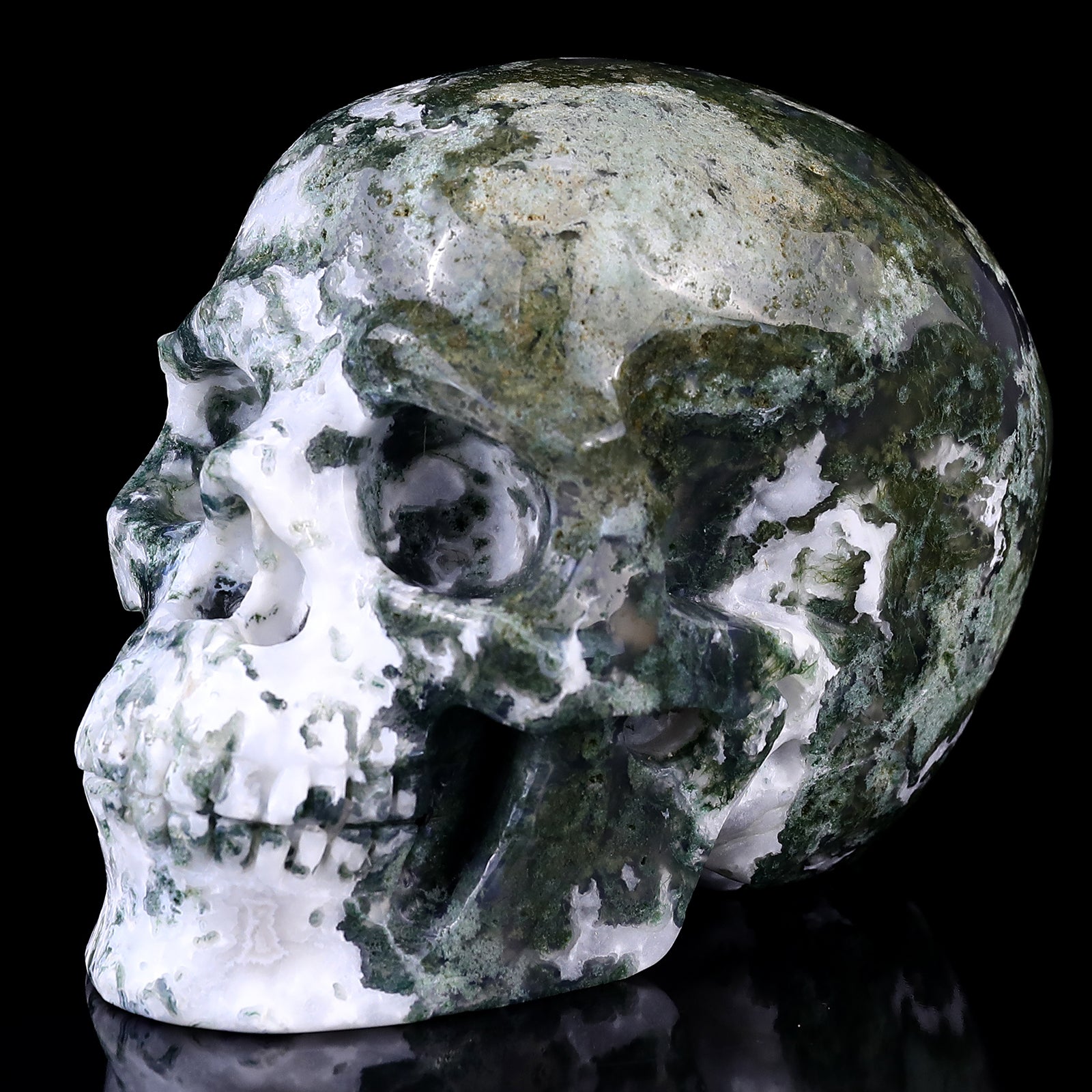 5.4" Moss Agate Hand Carved Crystal Realistic Skull Sculpture Crystallumi