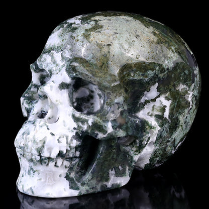 5.4" Moss Agate Hand Carved Crystal Realistic Skull Sculpture Crystallumi