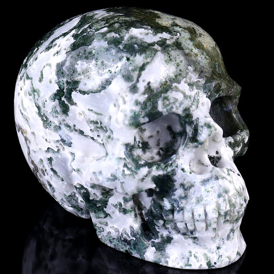 5.4" Moss Agate Hand Carved Crystal Realistic Skull Sculpture Crystallumi