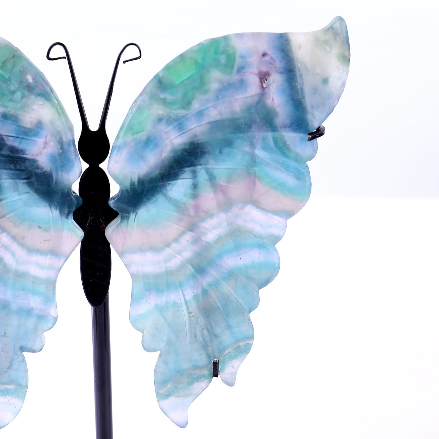 5.5" Fluorite Hand Carved Crystal Butterfly Wings Sculpture Crystallumi