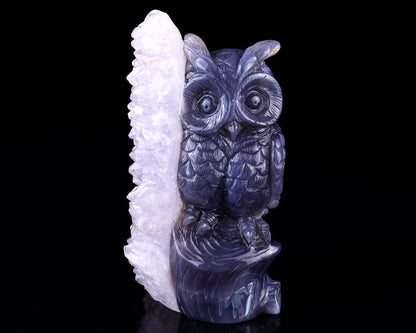 5.5" Quartz Rock Druse Hand Carved Crystal Owl Sculpture Crystallumi