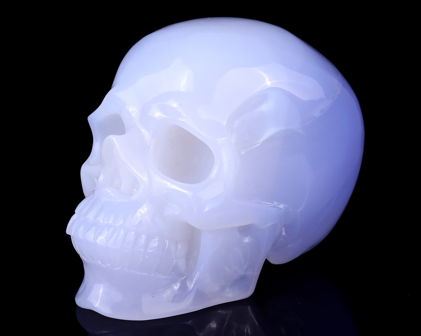 5.6" Blue Chalcedony Hand Carved Crystal Realistic Skull Sculpture Crystallumi