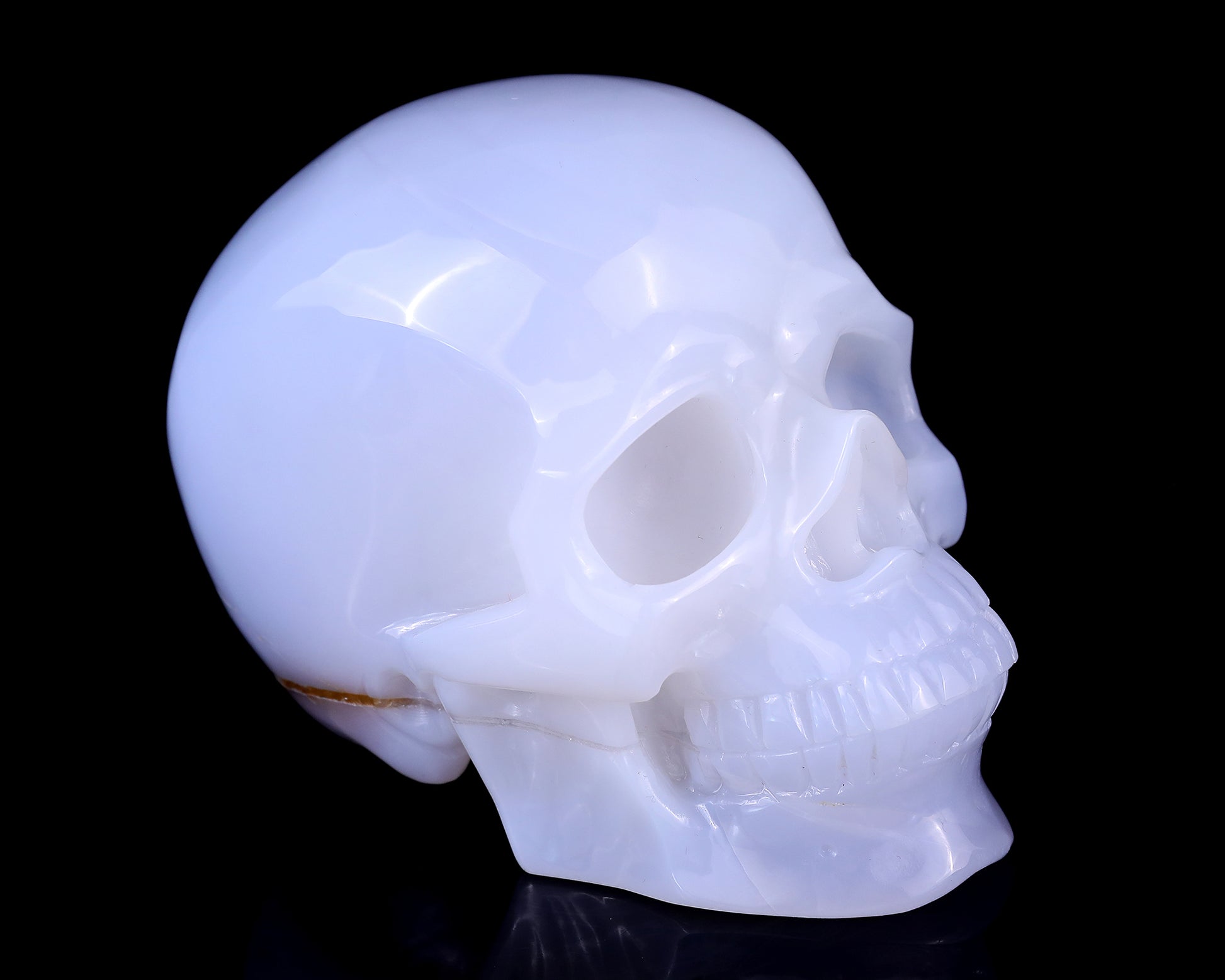 5.6" Blue Chalcedony Hand Carved Crystal Realistic Skull Sculpture Crystallumi