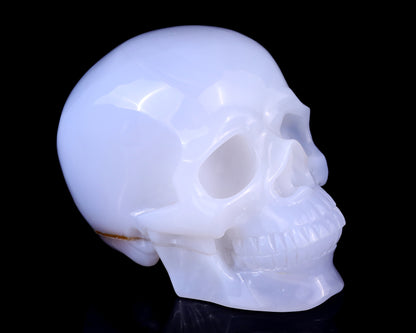 5.6" Blue Chalcedony Hand Carved Crystal Realistic Skull Sculpture Crystallumi