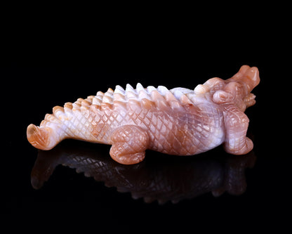 5.6" Chalcedony Hand Carved Crystal Crocodile Sculpture Crystallumi