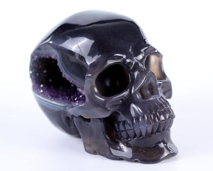 5.7" Amethyst Hand Carved Crystal Geode Skull Sculpture Crystallumi