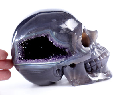 5.7" Amethyst Hand Carved Crystal Geode Skull Sculpture Crystallumi